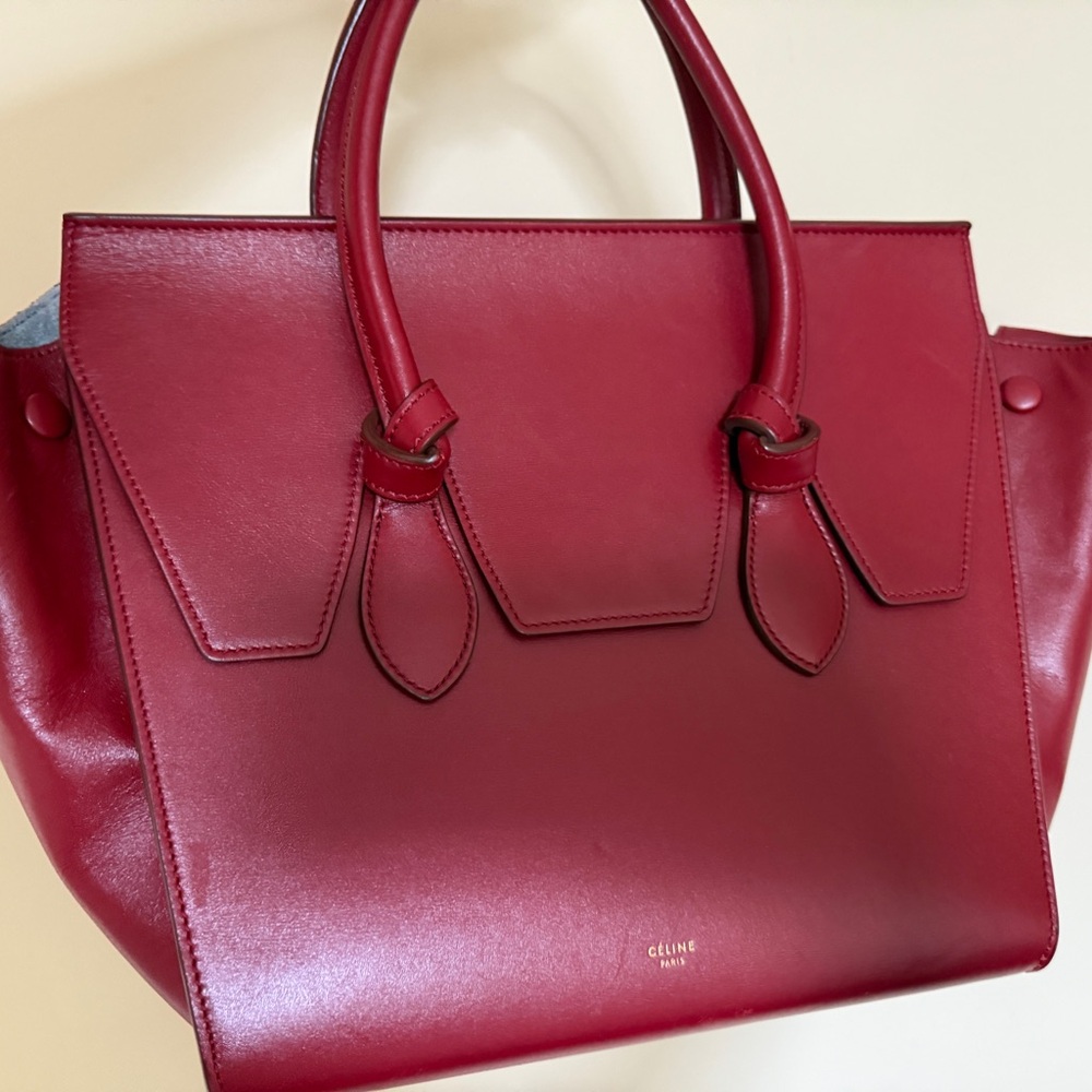 RARE color Celine tie knot palmetto Bag